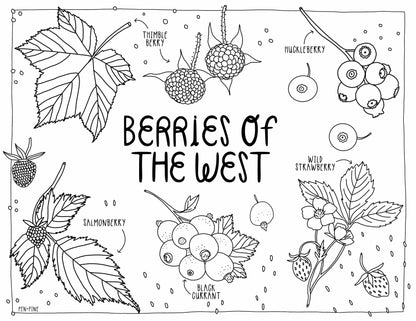 West Coast Wonderful Coloring Book