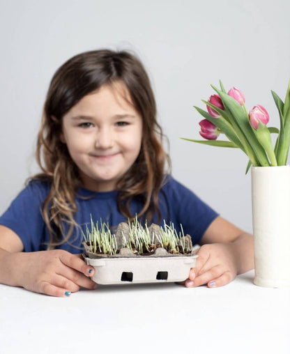 Egg Coloring & Grass Growing Kit