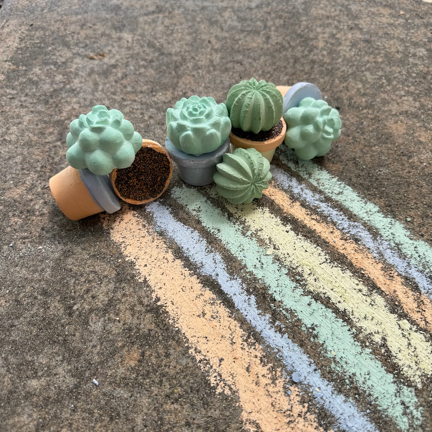 Succulents Handmade Sidewalk Chalk