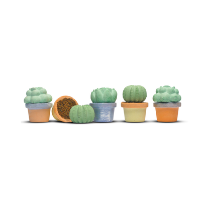 Succulents Handmade Sidewalk Chalk