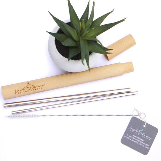 Silver Stainless Steel Metal Straw Set Bamboo Case